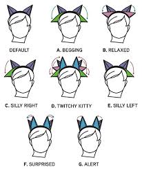 Electronic Twitchy Kitty Tail And Animatronic Cat Ears You Control With A Remote Anime Cat Ears Anime Cat Cat Ears And Tail