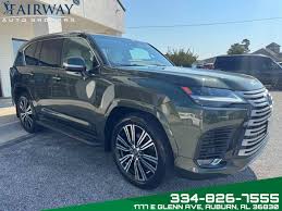 Image result for Nori Green 2025 LZ