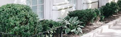 For more effect, tie nylon or cheesecloth bags filled with unwashed hair on tree branches or posts near your garden. How To Protect Your Outdoor Garden From Animals White Paper