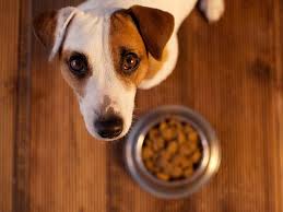 Recommended brands of raw dog food. Xnvqb8defbisvm