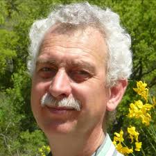 Image result for Dielsiothamnus divaricatus