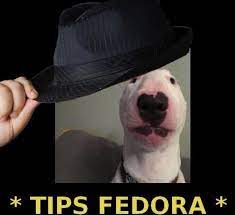 Pin By Mochi On Joe Mama S Memes Memes Fedora Hats