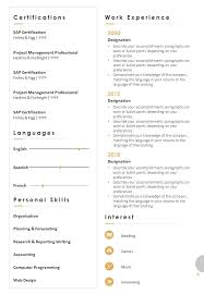 Curriculum vitae resume template blue cv template pattern. Professional Resume Format With Professional Skills Powerpoint Templates Download Ppt Background Template Graphics Presentation