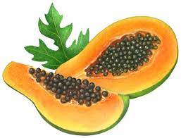 Illustration Of Two Papaya Slices Papaya Art Fruit Illustration Fruit
