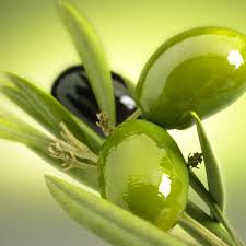 Hatay In Tarim Ozellikle Zeytin Cenneti Altinozu Ilimizin Suriye Ye Siniri Olan Ilcelerindendir 1945 Yilinda Hatay In Il Olmasi Ile Olive Green Olive Gardens