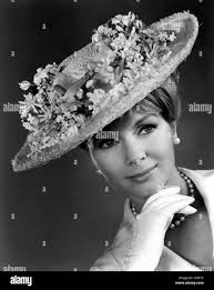 Unsinkbar molly braun -Fotos und -Bildmaterial in hoher Auflösung