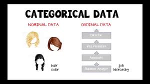 2 2 Categorical Vs Numerical Data Youtube