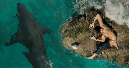 Nerds That Geek Movie Review: 'The Shallows' - Nerds That Geek