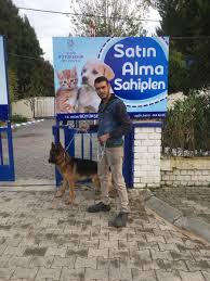 O Xrhsths Barinak Aydin Sto Twitter Efeler Evcil Hayvan Bakim Besleme Ve Rehabilitasyon Merkezinden Yusuf Cakir A Sahiplendirildi Satinalmasahiplen Https T Co Xxygfsl0qi