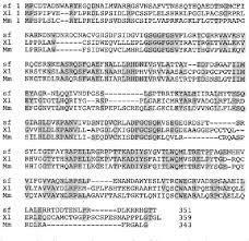 We did not find results for: Pdf C Mos Forces The Mitotic Cell Cycle To Undergo Meiosis Ii To Produce Haploid Gametes Semantic Scholar