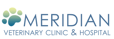 Check spelling or type a new query. Top Rated Local Veterinarians Meridian Veterinary Clinic And Hospital