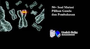 50 Soal Mutasi Pilihan Ganda Dan Pembahasan Kali Ini Tim Kami Akan Membagikan Contoh Soal Dan Pembahasan Mutasi Dari Berbagai Penerbit Buku Sindrom Down Kimia