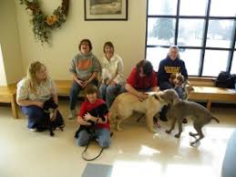 Help your pup be relaxed and calm. Puppy Socialization Classes Veterinarians In Clio Clio Animal Hospital