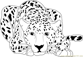 Cheetah Sitting Coloring Page Free Printable Coloring Pages Cool Coloring Pages Cheetah Drawing Coloring Pages To Print