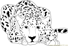 Cheetah, the fastest land animal on earth, will surely trigger your kids' imagination as he/she colors cheetah theme coloring pages. Pin On Stencils