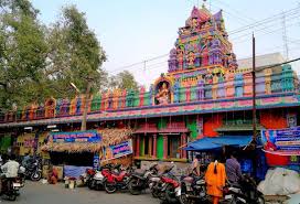Image result for images of mavullamma