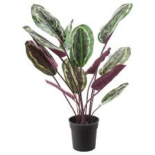 Fejka Artificial Potted Plant Indoor Outdoor Fiddle Leaf Fig Ikea In 2020 Artificial Potted Plants Plants Artificial Plants Indoor