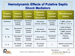 Sepsis And Septic Shock