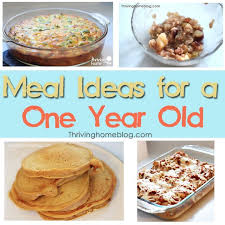 Healthy Recipe Ideas For A One Year Old Thriving Home Baby Food Recipes Food Recipes
