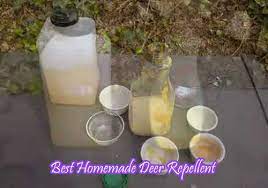 Make this sticky, stinky solution by pouring 3 cups water into. Homemade Deer Repellent 3 Best Remedies Deer Repellent