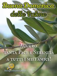 Aggiunta il 19 febbraio 2019 da immagini. Buona Domenica Delle Palme Auguri Amici Buongiornissimocaffe It