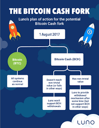 What happened then, what happens now, and what we can look forward to in the future. Sell Bitcoin Cash For Bitcoin Luno Blog Luno