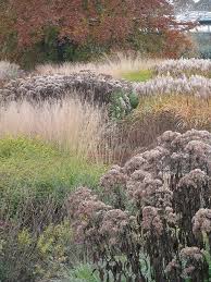 Piet Oudolf Trentham Gardens Landscape Design Dutch Gardens Prairie Garden