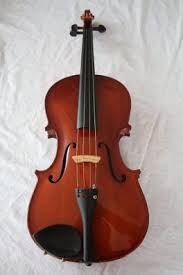 Viola 16