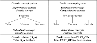 There is 16 anagrams and words made by unscrambling the letters mesh. Medical Vocabulary Terminological Resources And Information Coding In The Health Domain Springerlink