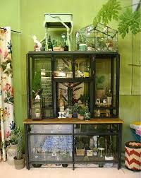 Woonbladen Trend Groen Wonen In Huis Tuin Serre Met Industriele Kast Vol Met Cactussen Planten Vitrinekastje En Groene Woondecoratie V Tuin Wonen Groen