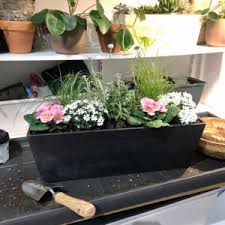 Check spelling or type a new query. Exposition Mi Ombre Ma Petite Jardiniere