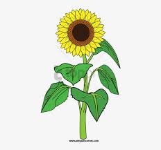 Free Free 261 Clipart Sunflower Png Transparent SVG PNG EPS DXF File