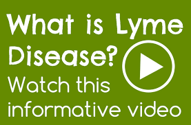Lyme Disease Co Infections
