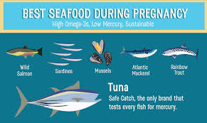 As with safe catch's other products, every single fish is tested for mercury levels. Bryan Boches Is Putting Canned Tuna Back On The Menu For Pregnant Women Urbanfamily