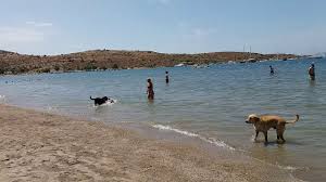 Курортный отель bodrum bay, работающий по системе «все включено», расположен в тихом районе с потрясающим видом на море. Bodrum Plyazh Gyumbet Iyun 2018 Bodrum Gumbet Beach Youtube