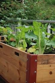 Urban Gardening In Hochbeeten Aus Euro Palettenrahmen Naturwurm Palettenrahmen Hochbeet Bett Aus Paletten