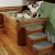 Furniture Fancy Dog Beds