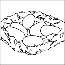 Nest Clipart One Egg Clipart Nest One Egg Transparent Free For Download On Webstockreview 2020 Two organic eggs , chicken egg yolk egg white, egg transparent background png clipart. nest clipart one egg clipart nest one