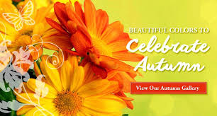 Same day delivery · 20% off all items · from $19.99 Send Flowers In Flanders Nj