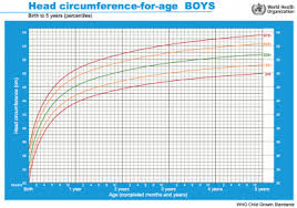 paradigmatic normal infant head circumference chart infant