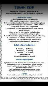 Makbule Isik Sipleme Adli Kullanicinin Bilgihane Panosundaki Pin Hayvan Yangin