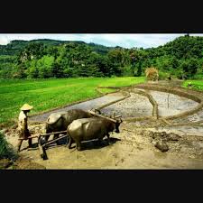We did not find results for: Tinimungan Tuhun Mook Bersatu Teguh Bercerai Roboh Photos Facebook