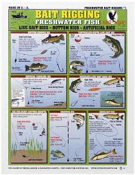 Waterproof Fishing Chart Freshwater Bait Rigging Fishing