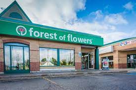 We did not find results for: Forest Of Flowers Request Information 24 Photos Florists 555 Wellington Road London On Phone Number Yelp