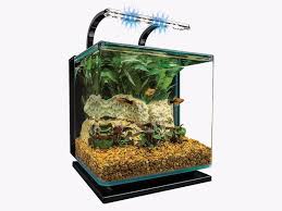 Best beginner tropical fish tanks of 2021. Best Fish Tanks In 2020 Seaclear Marineland Fluval And More