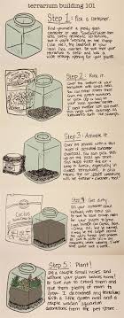 Jump to a section share cactus with others. Pin Em Olive Garden Recipes