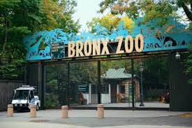Bronx Zoo New York Travel Guide New York City Travel Bronx Zoo