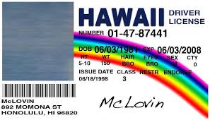 Consolidated id card office online. 66 Visiting Hawaii Id Card Template For Ms Word By Hawaii Id Card Template Cards Design Templates