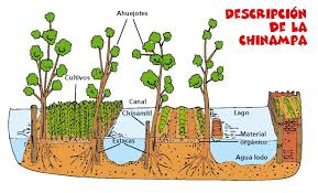 We did not find results for: Images Of Chinampas Share For Teaching Education Earthworks Forum At Permies