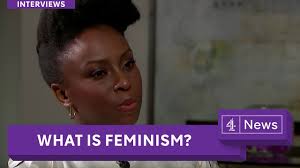 Trans Women And The Danger of a Single Story — Where Chimamanda Got It  Wrong